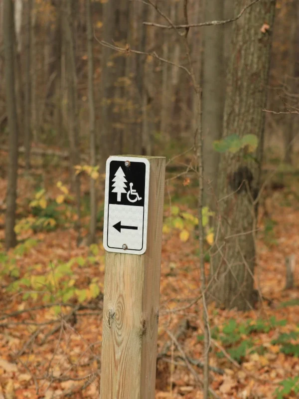 A sign indicating wheelchair access against a forest backdrop.