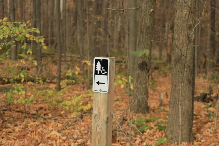 A sign indicating wheelchair access against a forest backdrop.