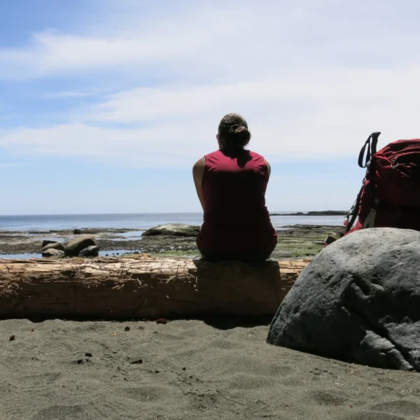 A woman sits by the ocean on a log with a backpack beside her.