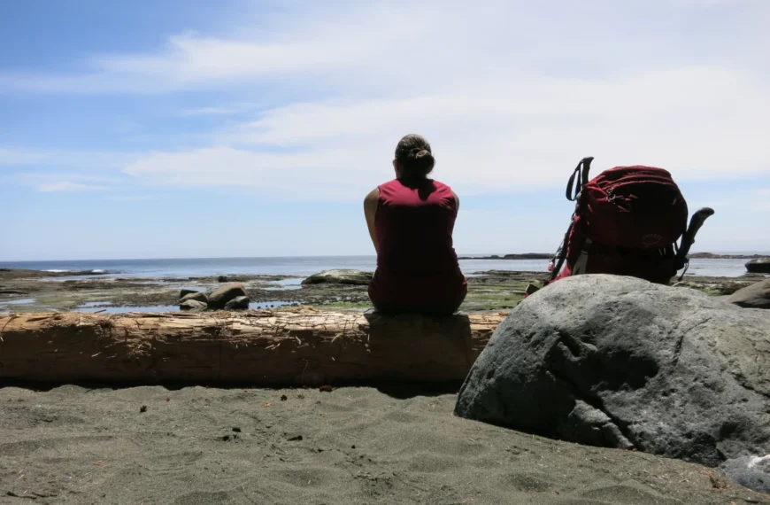 A woman sits by the ocean on a log with a backpack beside her.
