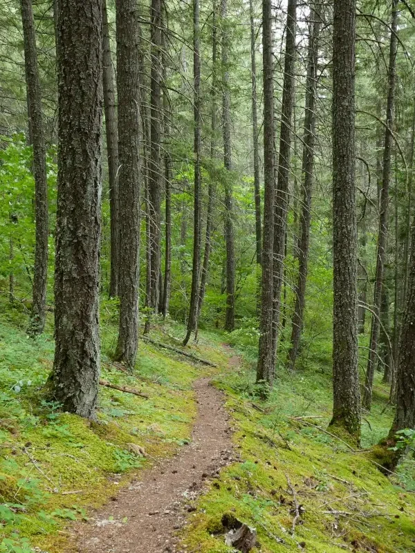 The Tikwalus Heritage Trail in is shown prior to wildfire.