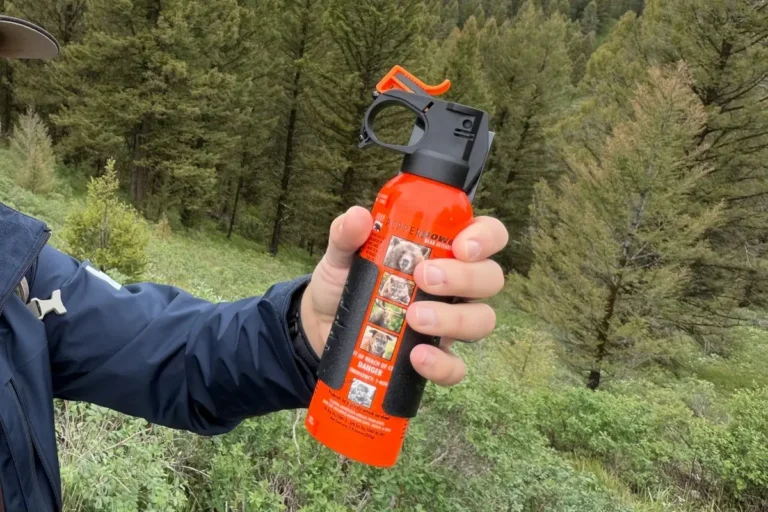 A bear spray canister is held against a forest backdrop.