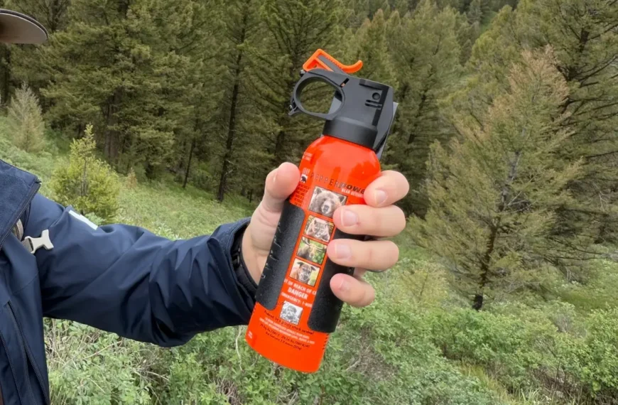 A bear spray canister is held against a forest backdrop.